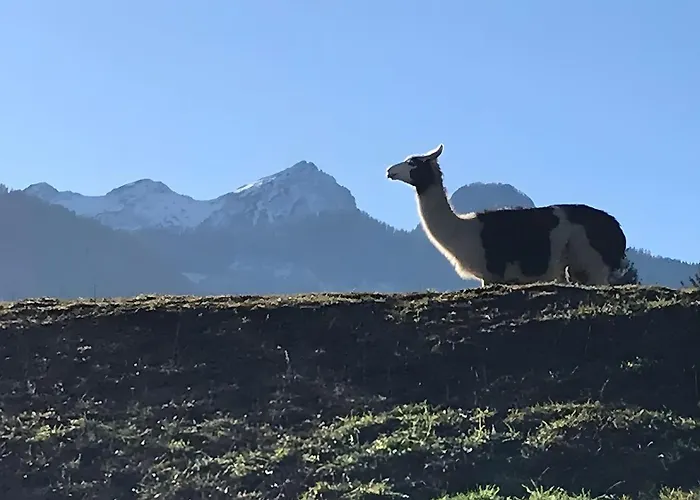 Lichtblick * Sattendorf